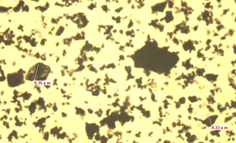 Winner - Analisador de tamanho de partícula de imagem estática 99E