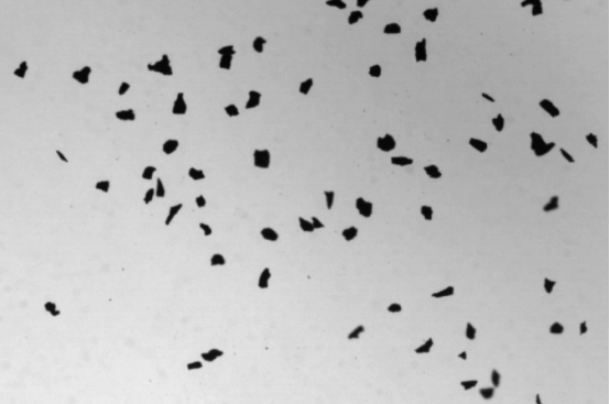 Aplicação de grande profundidade de campo e caminho óptico telecêntrico na análise de imagens de partículas