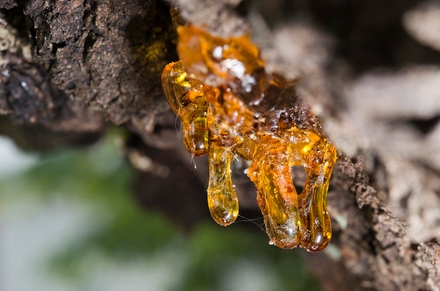 Aplica&ccedil;&atilde;o do analisador de tamanho de part&iacute;culas a laser na ind&uacute;stria de resinas