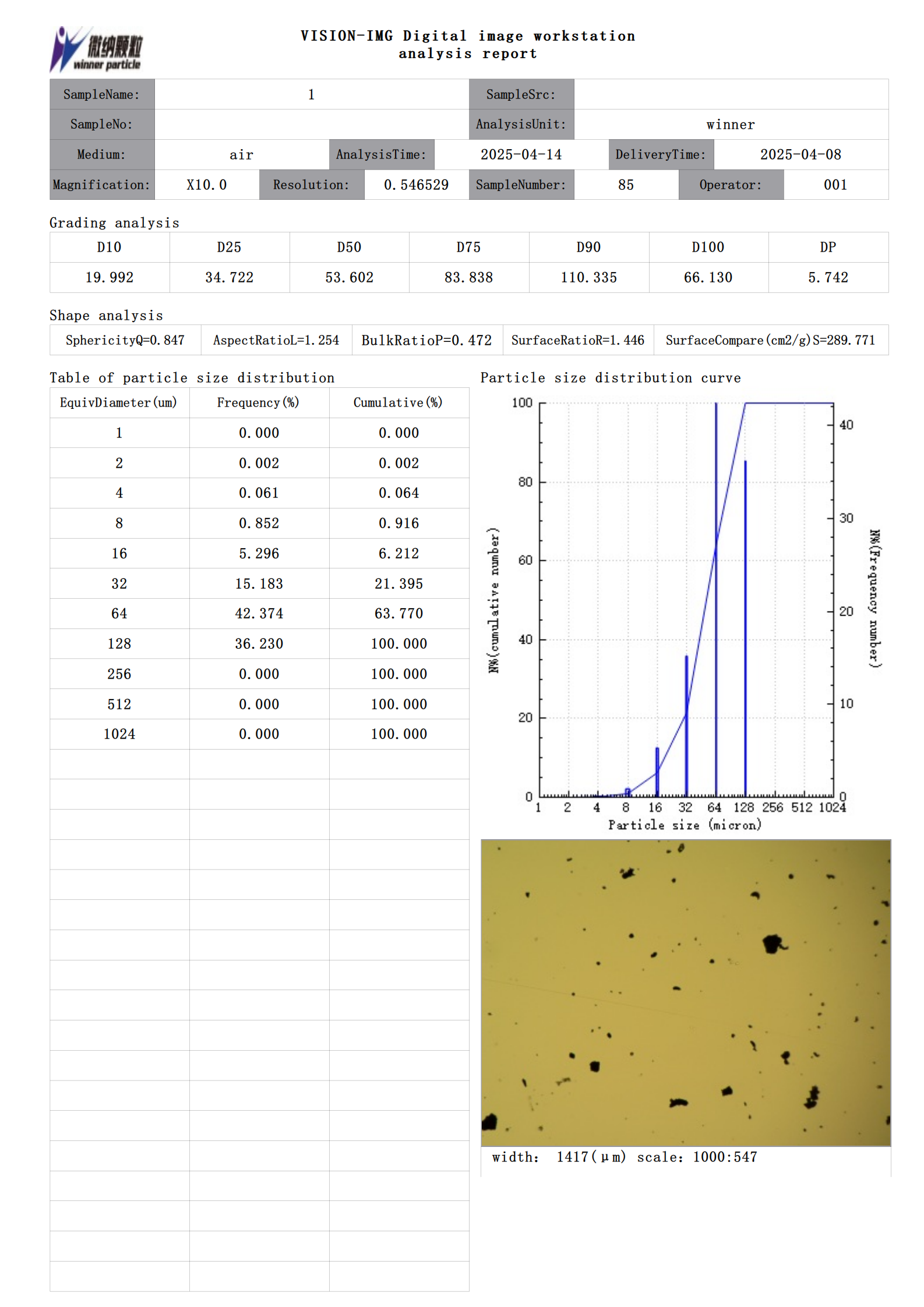 Analisador de Tamanho de Partículas de Imagem Estática Winner99E